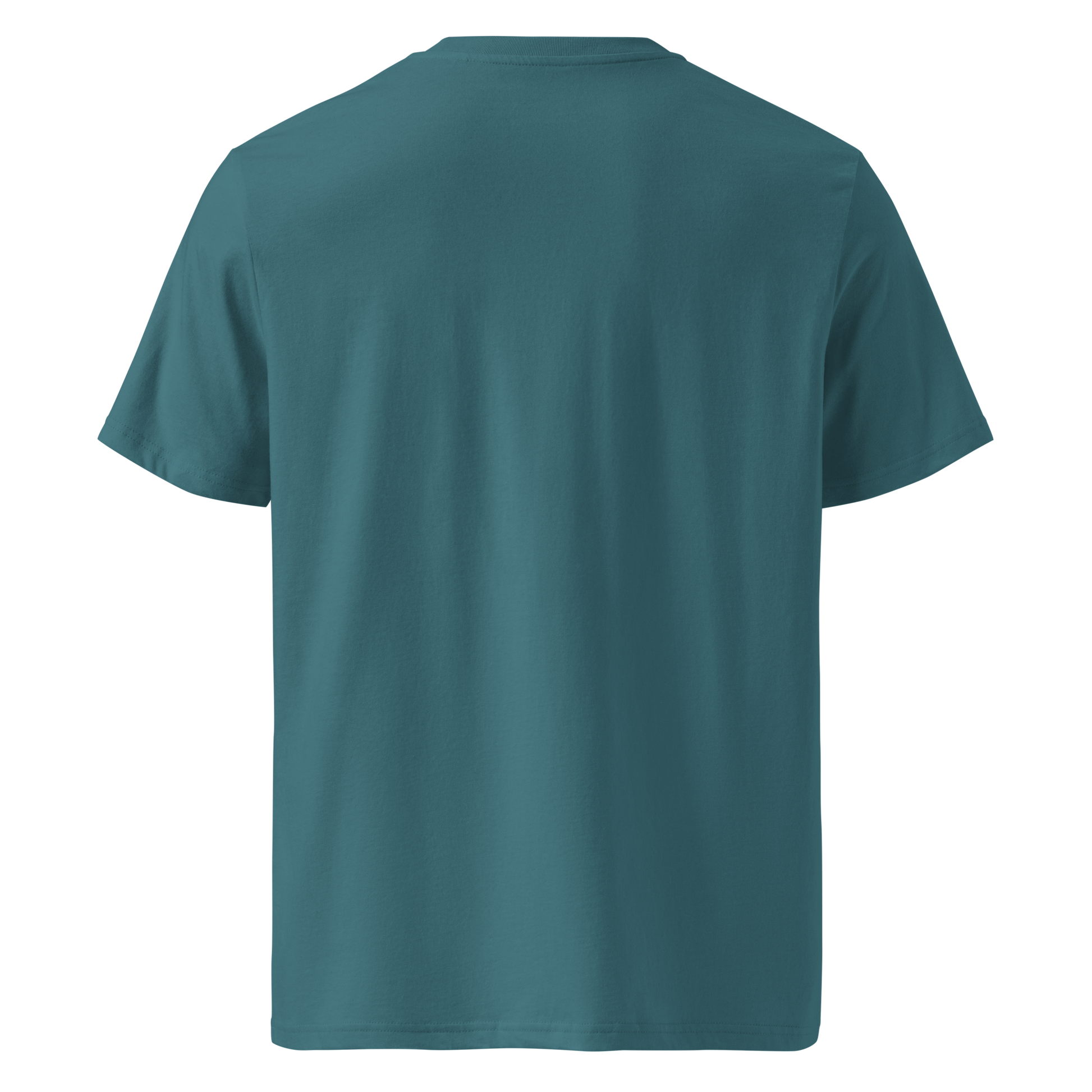 Teal organic cotton t-shirt back view
